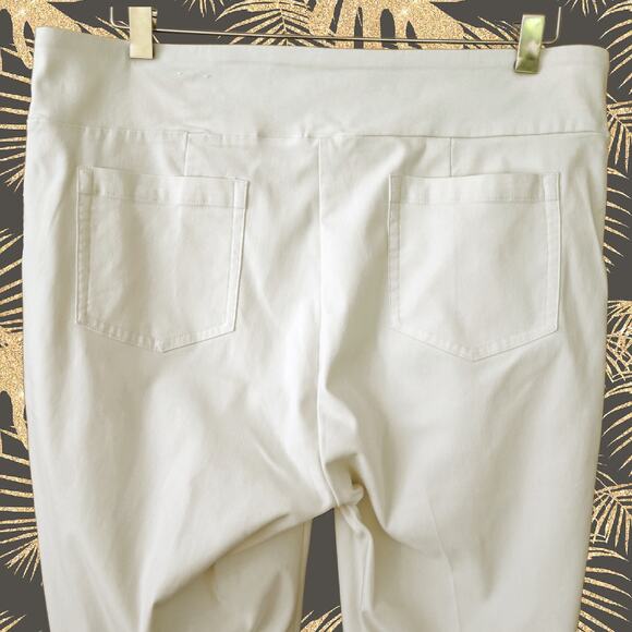 J. McLaughlin Masie Slim tapered Leg Stretch Pull-On Pants Size 12 Ivory Stone - Picture 8 of 9